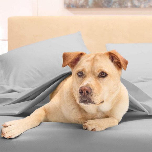 Soft Microfiber Charcoal Gray King 4 piece set - Picture 2 of 6